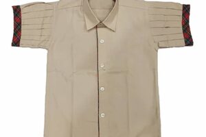 DAV School Girls Shirt